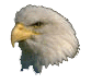 Home Eagleyes.it